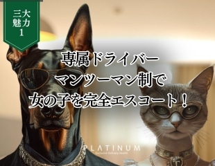 プラチナム三大魅力その②のイメージ