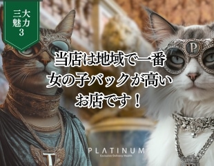 プラチナム三大魅力その③のイメージ